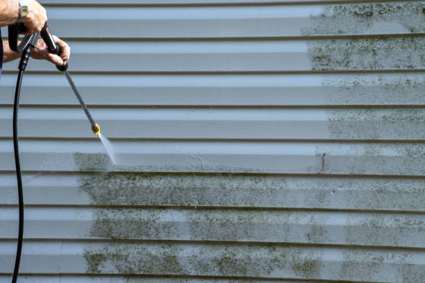 Storm Damage Siding Repair in Pioche, NV